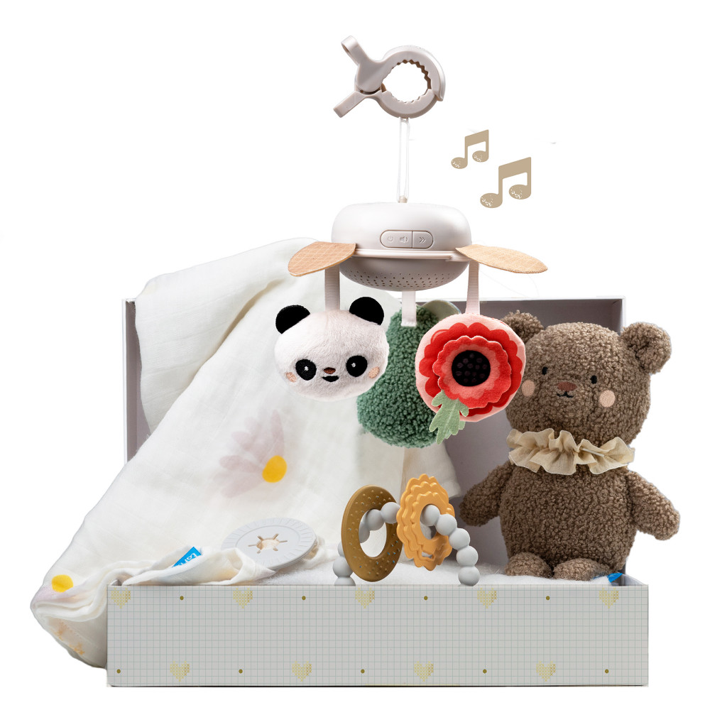 Taf Toys Sada hraček Newborn Luxe