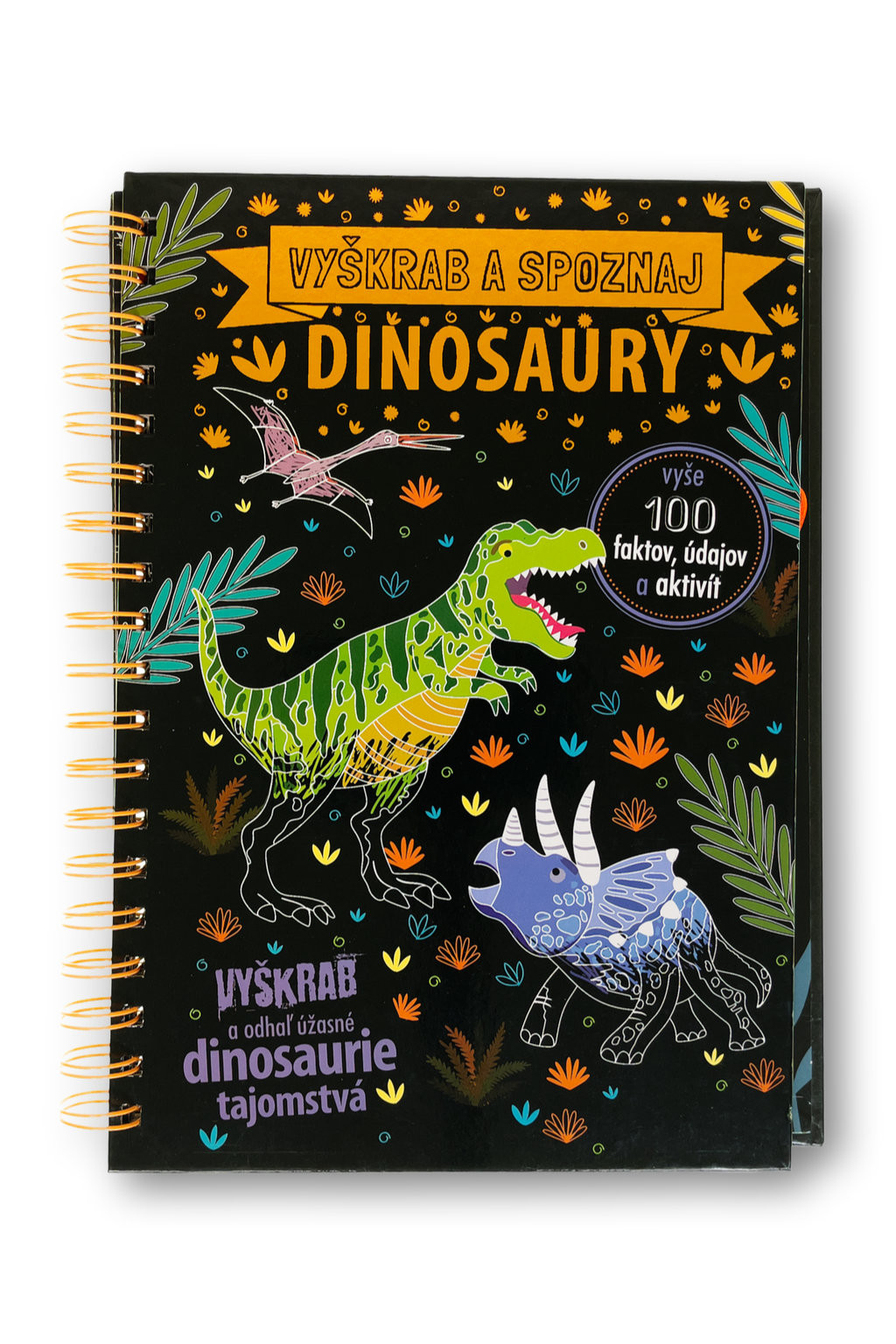 Svojtka Vyškrabuj a poznávaj Dinosaury