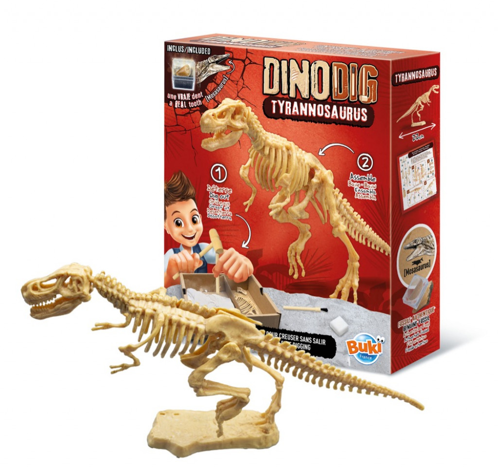 Buki France Dinodig vykopávka a kostra Tyranosaurus