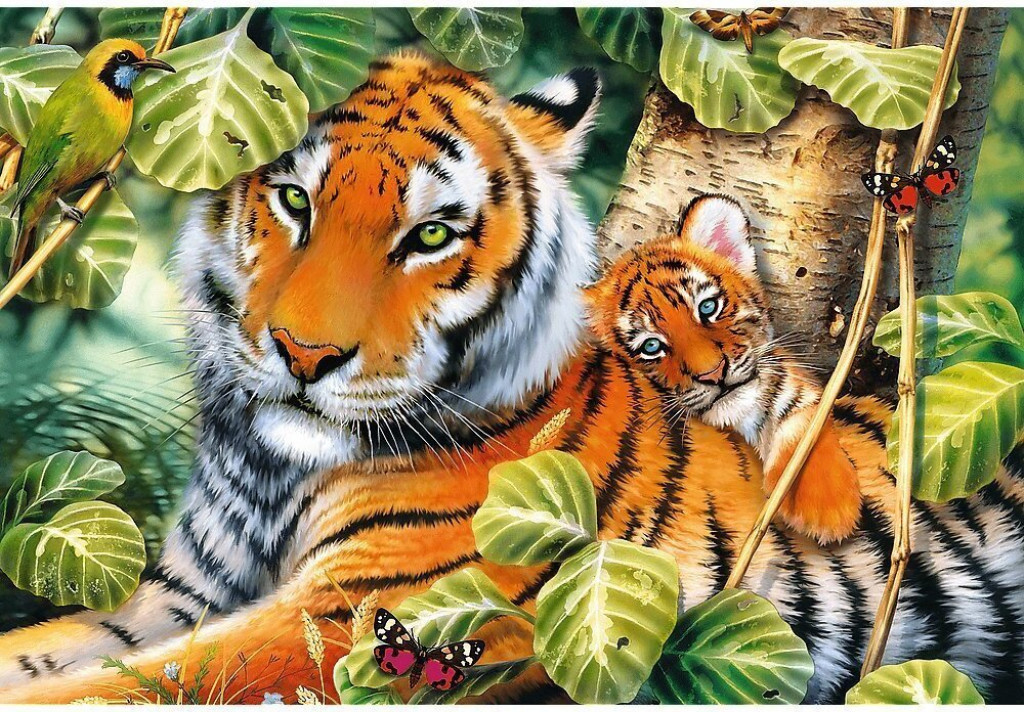 Trefl Trefl Puzzle 1500 Dva tigre