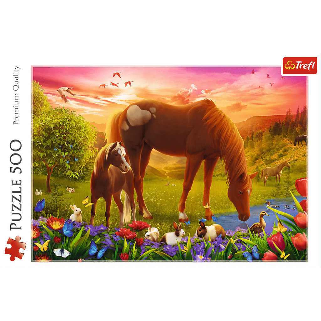 Trefl Trefl Puzzle 500 - Kone na lúke