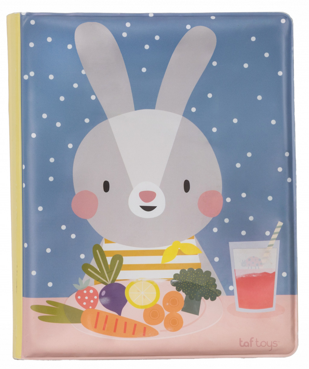 Taf Toys Kouzelná knížka s malováním vodou