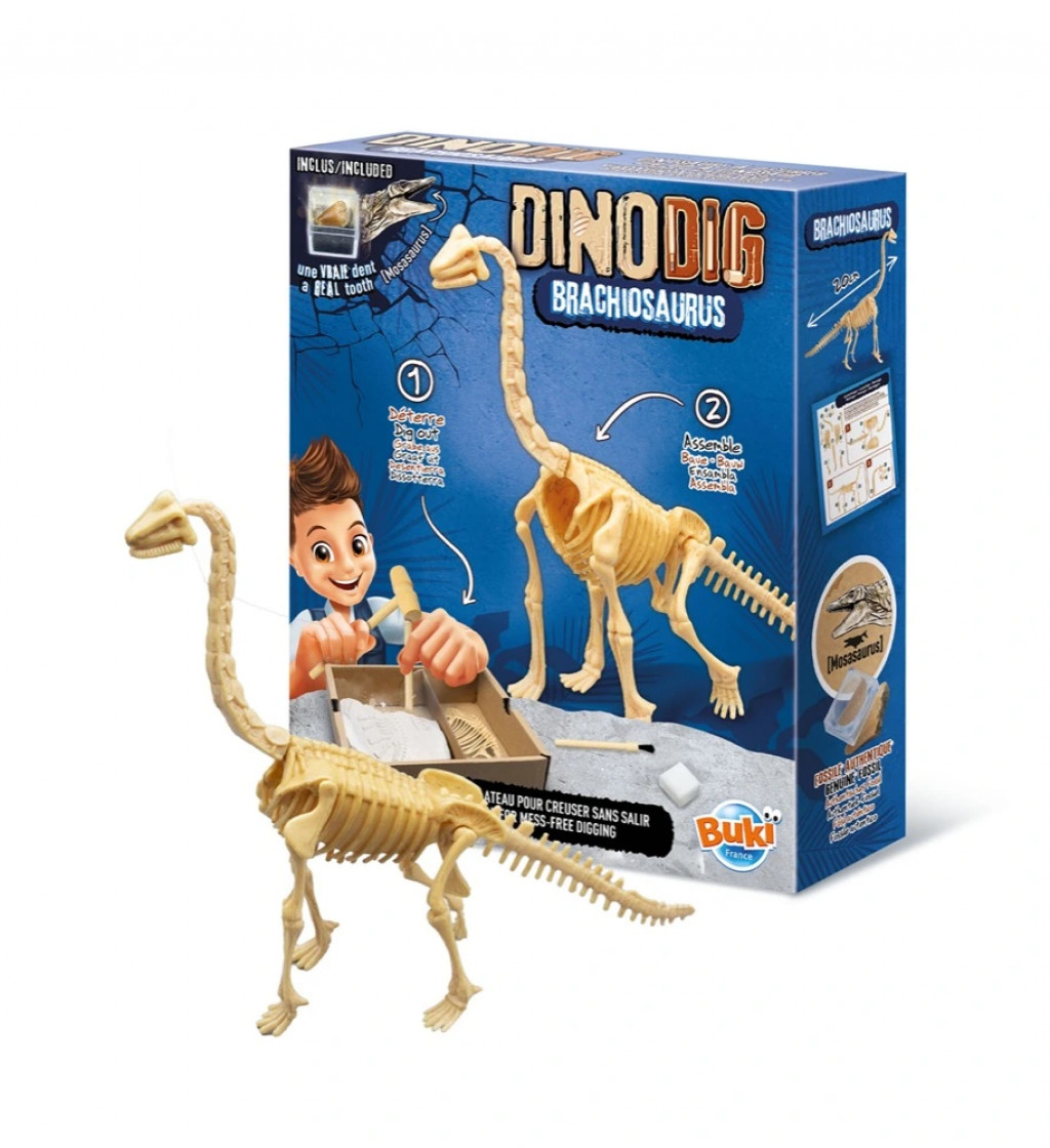 Buki France Dinodig vykopávka a kostra Brachiosaurus