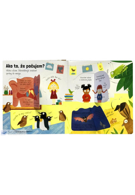 Pozri sa pod okienko - Ako to, že vidím? Prvé otázky a odpovede
