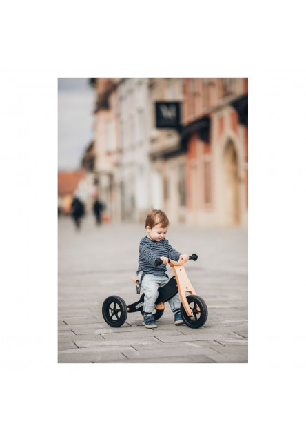 Free2Move Rider Plus Odrážedlo/tříkolka 2v1 Black