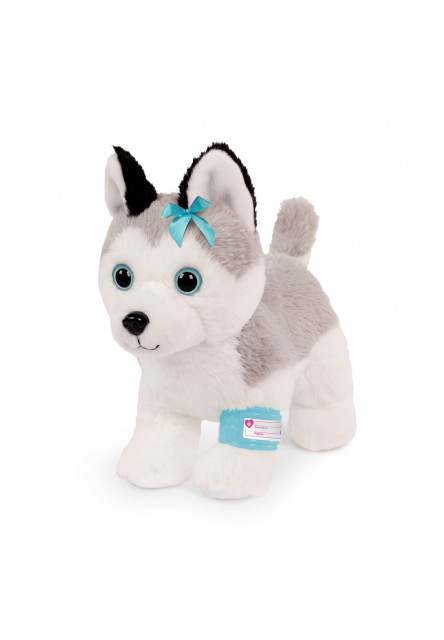 Husky v kabelce s veterinářskou sadou