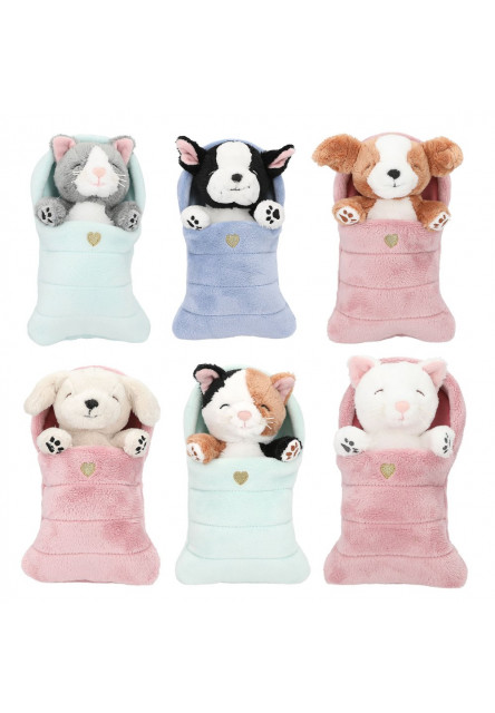 KITTY&DOGGY v spacom vaku