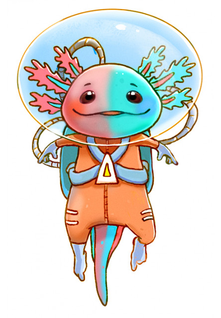 Rodinná spoločenská hra Galaxolotl od 8 rokov