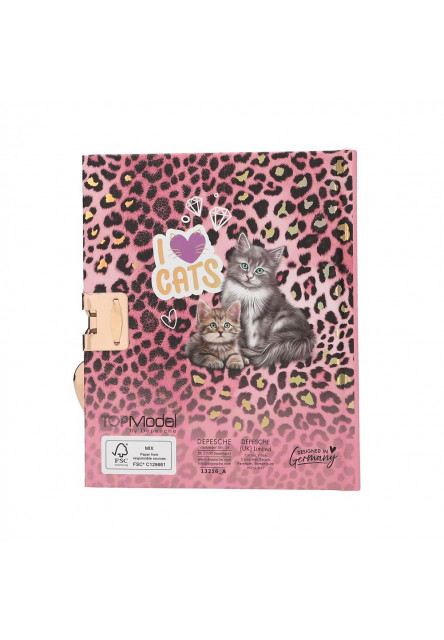 Denník s tajným perom