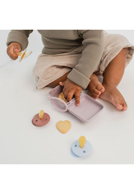 BIBS krabička na cumlíky (Matcha)