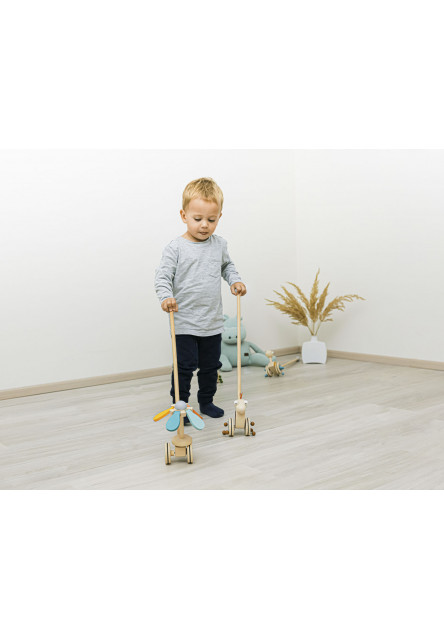 Dřevěný jezdík květina, Flower