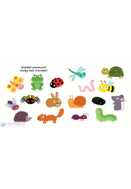 MiniPÉDIA – Objavujeme svet! Lúka