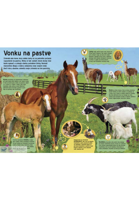 Veľká kniha zvukov na farme