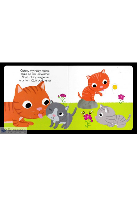 MiniPÉDIA – Dobrý deň  mačiatko!