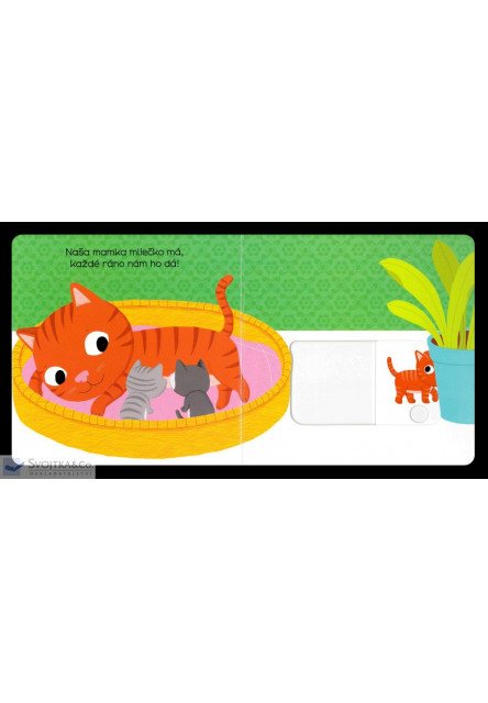 MiniPÉDIA – Dobrý deň  mačiatko!