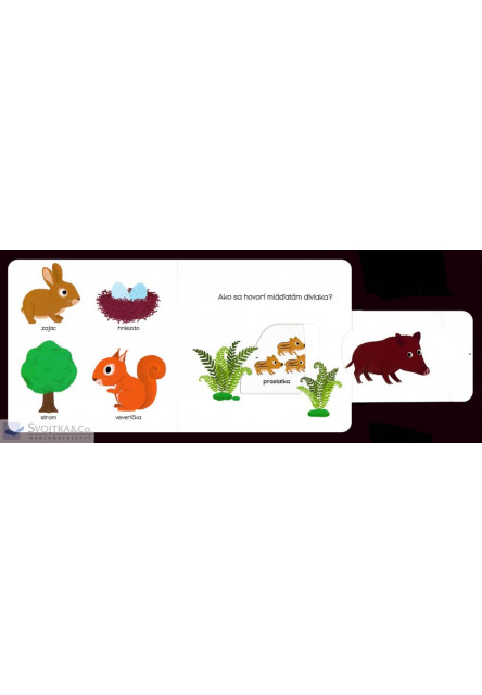 MiniPÉDIA – Objavujeme svet! LES