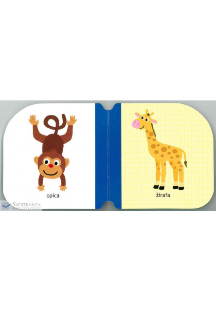 Malé káčatká – Zvieratká