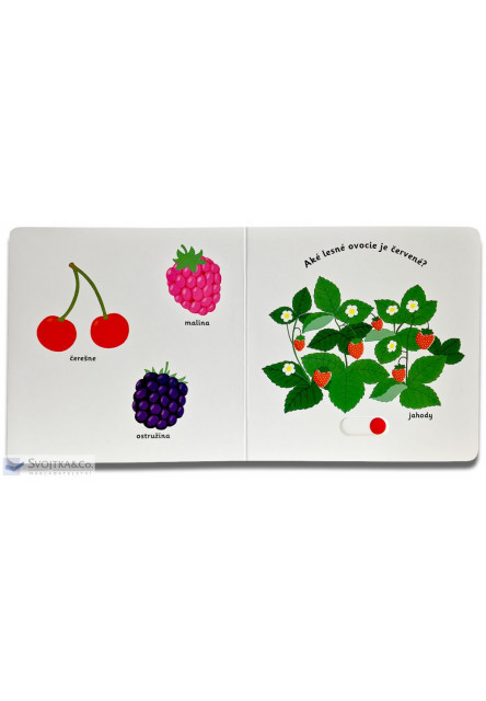 MiniPÉDIA – Objavujeme svet! Ovocie
