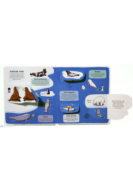 Malý prieskumník – Pod morom