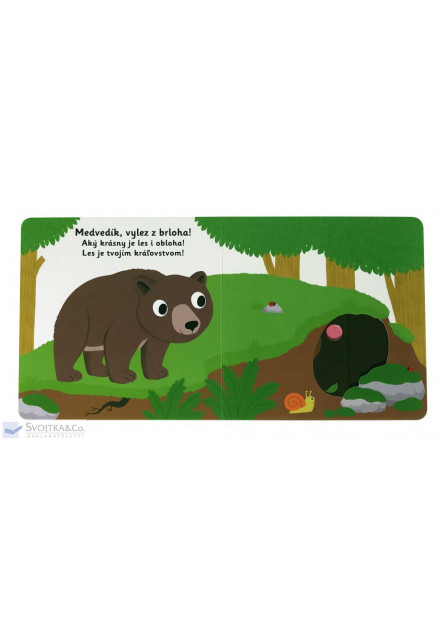 MiniPÉDIA – Dobrý deň, medvieďa!