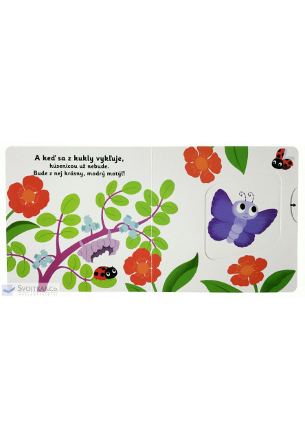 MiniPÉDIA – Dobrý deň, motýlik!