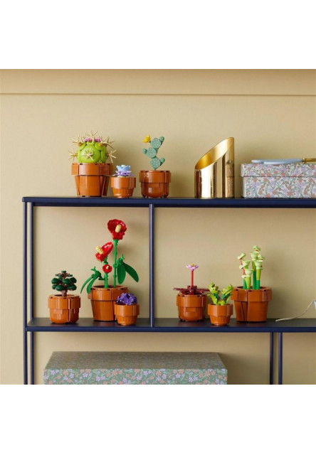 Miniatúrne rastliny