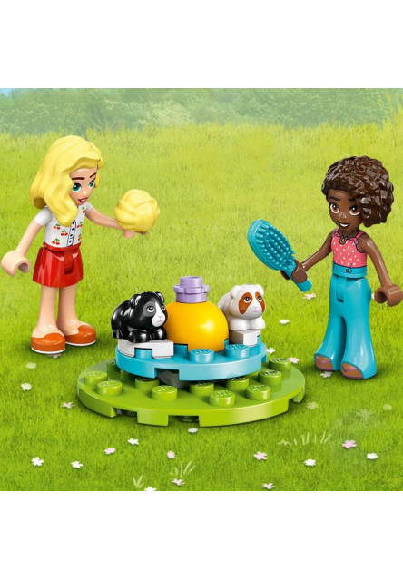 Ihrisko pre morčatá