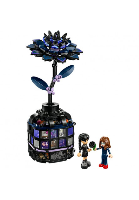 Wednesday Čierna georgína