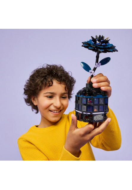 Wednesday Čierna georgína