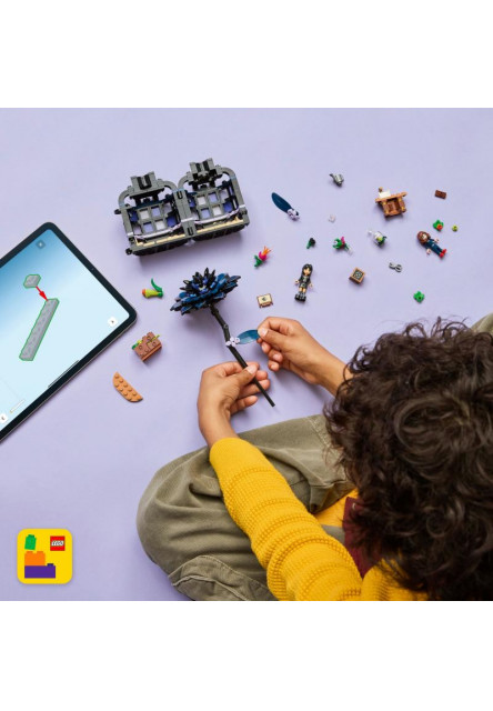 Wednesday Čierna georgína