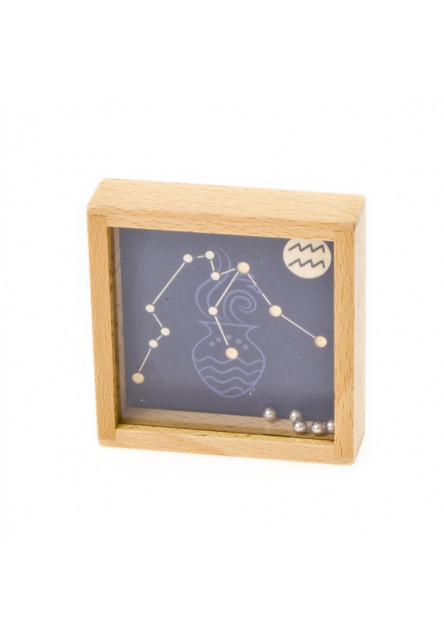 Bludisko znamenie zverokruhu - Vodnár