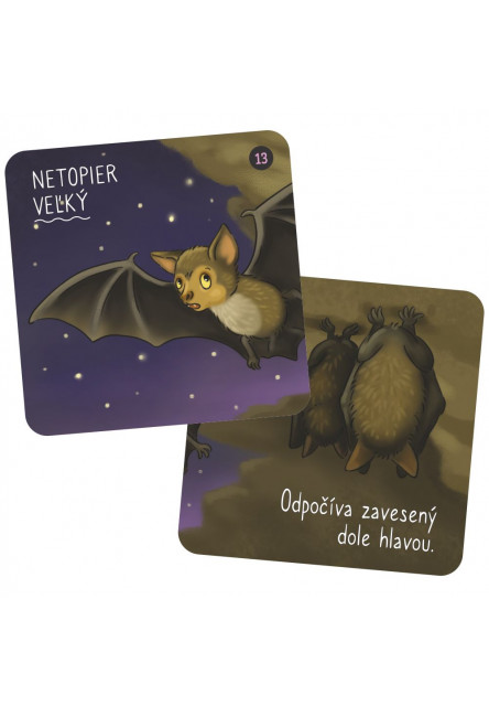 Vedomostné pexeso pre deti - Zvieratá