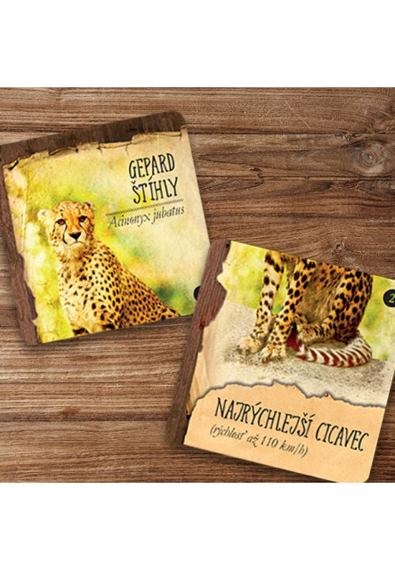 Vedomostné pexeso - Zvieracie naj