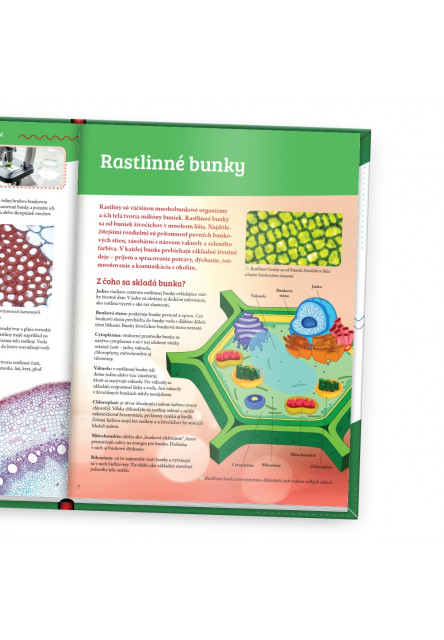 Rastliny - Objavuj svet