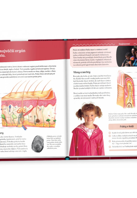 Ľudské telo - Albi Science - 2.vydanie