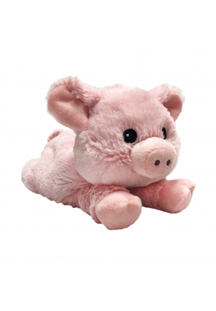 Hrejivé mini prasiatko Albi
