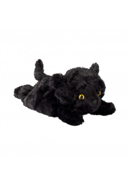 Hrejivá čierna mačka Albi