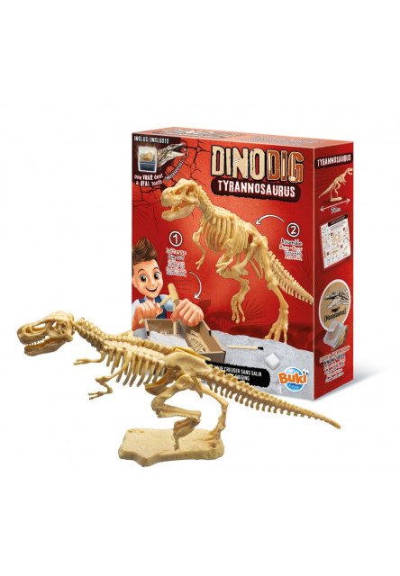 Dinodig vykopávka a kostra Tyranosaurus