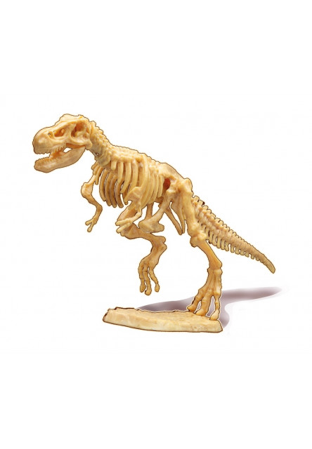 Dinodig vykopávka a kostra Tyranosaurus