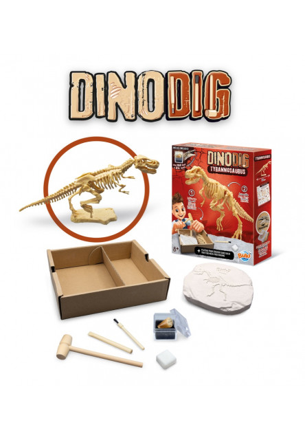 Dinodig vykopávka a kostra Tyranosaurus