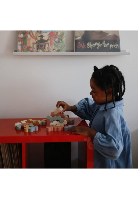 Drevené balančné bloky mushie