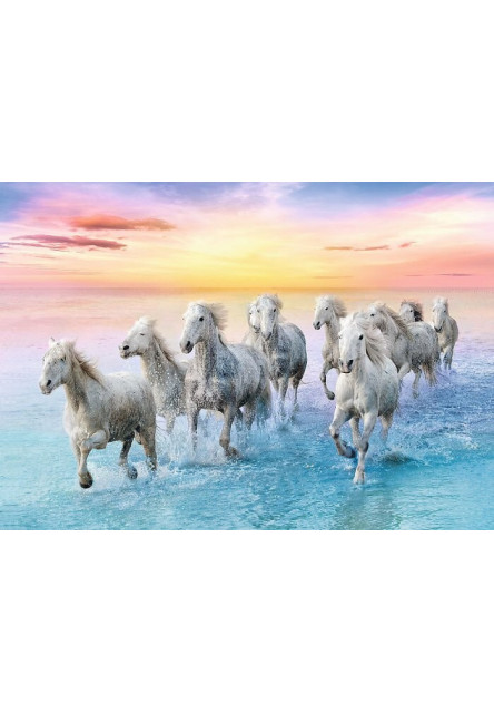 Trefl Puzzle Galop bielych koní 500
