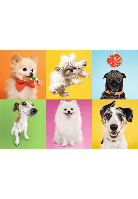 Trefl Puzzle 500 Psy