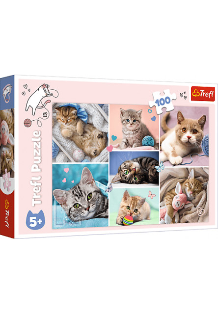 Trefl Puzzle 100 dielikov - Mačiatka
