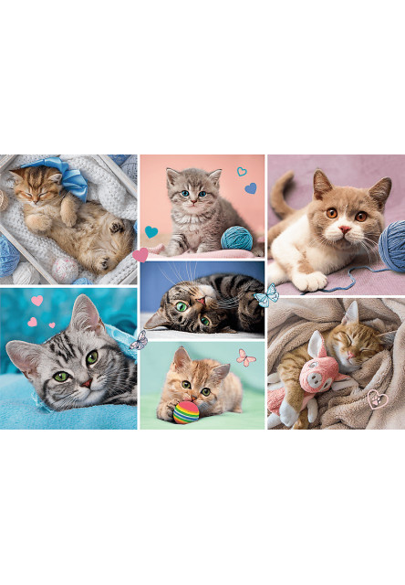 Trefl Puzzle 100 dielikov - Mačiatka