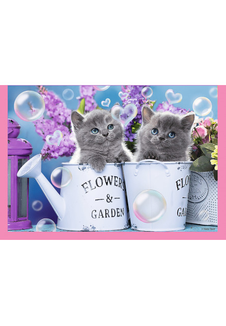 Trefl Puzzle 4v1 - Zábavné mačky