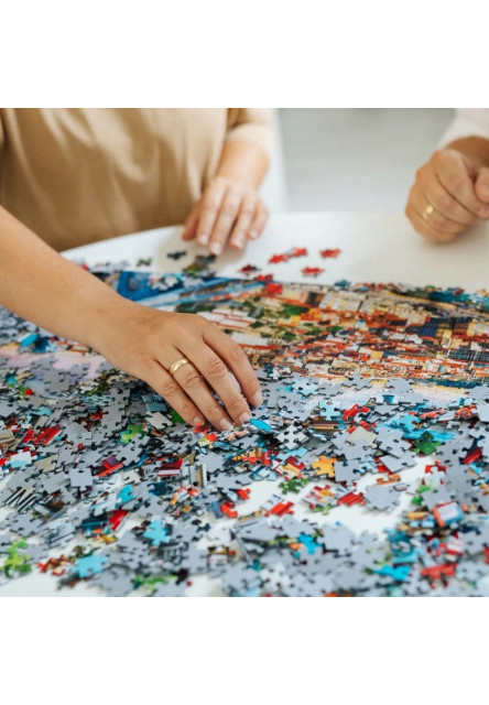 Trefl Puzzle Premium Plus Quality 1000 el. Secret Puzzle: Joyland