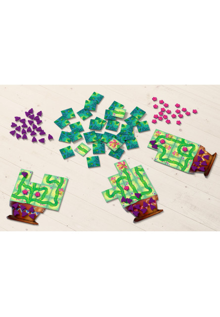 Hladné mucholapky Nakŕm ich muchami a sleduj, ako rastú! Anglická verzia