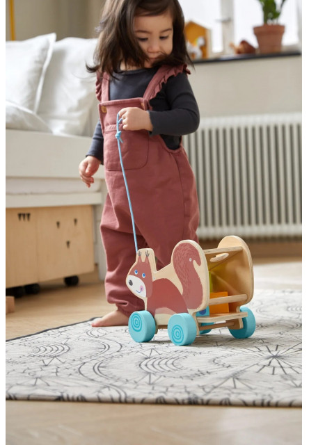 Ťahacia hračka s vkladacími tvarmi - veverička