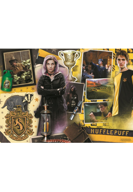 Trefl Puzzle Harry Potter 10v1
